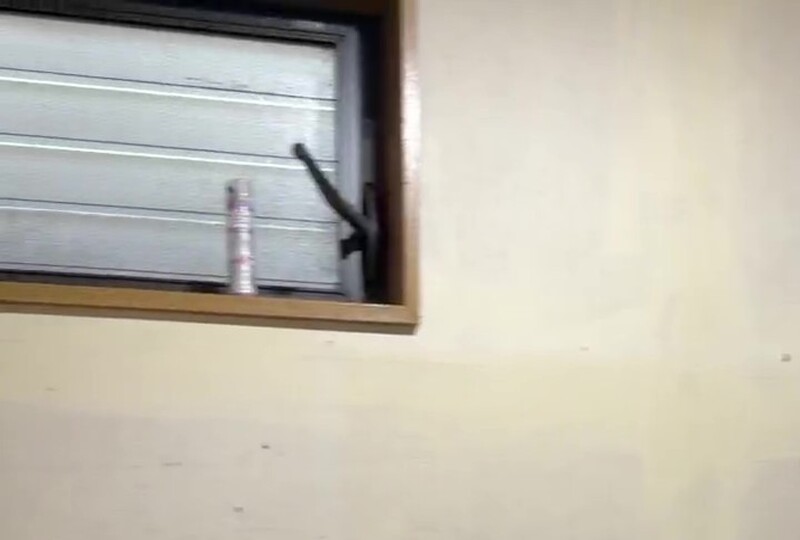 800349611.846376 - frame at 0m3s